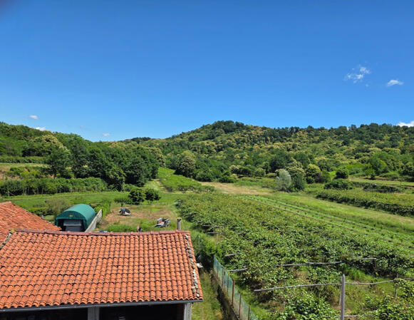 garden garden